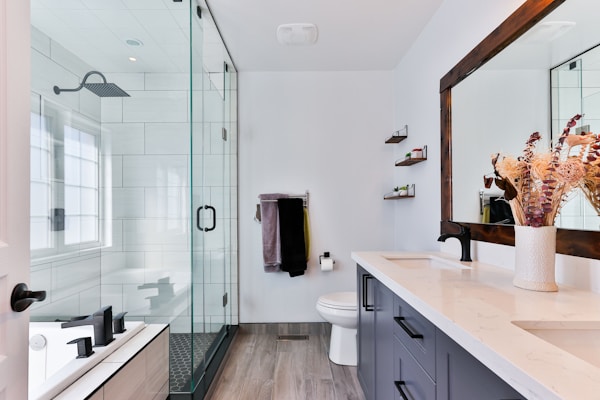 Kitchen Sink & Fixture Upgrade